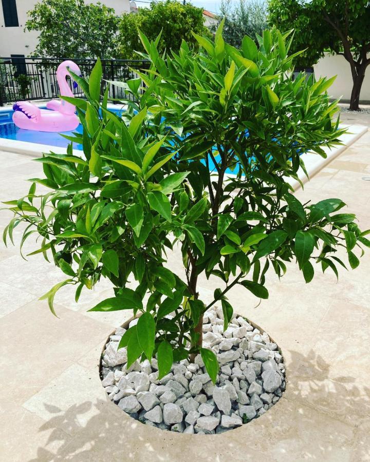 Vlatino Villa Seget Vranjica Ngoại thất bức ảnh
